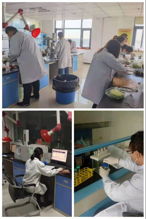 沂水县检验检测中心吹响 食安护佳节 集结号